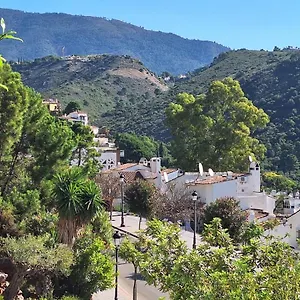https://casa-de-flores.1costadelsol.com